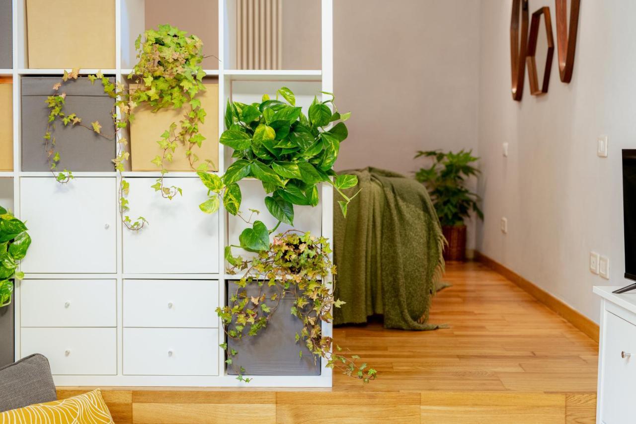 לינה וארוחת בוקר לוקה Il Cortile Di Elisa & Our Flats מראה חיצוני תמונה